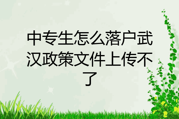 中专生怎么落户武汉政策文件上传不了