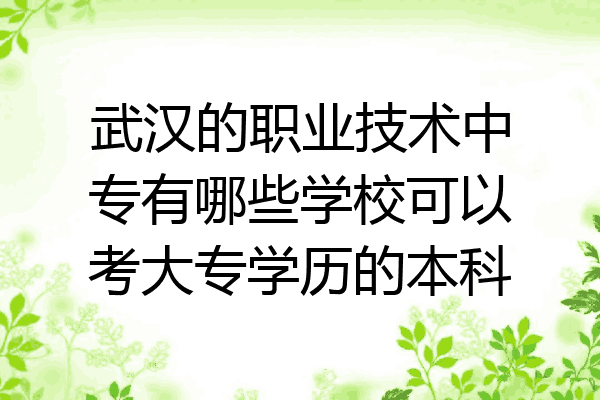 武汉的职业技术中专有哪些学校可以考大专学历的本科