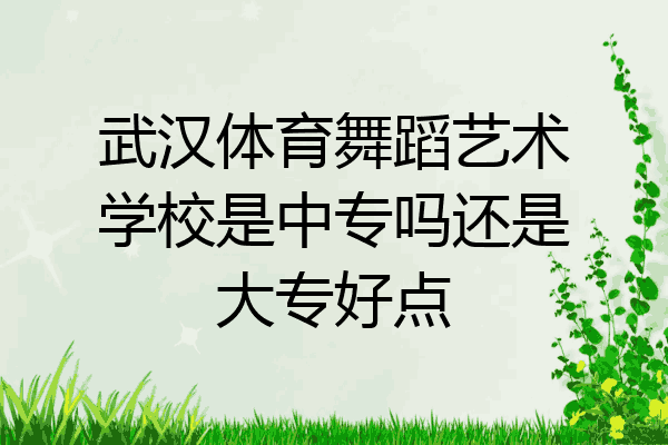 武汉体育舞蹈艺术学校是中专吗还是大专好点