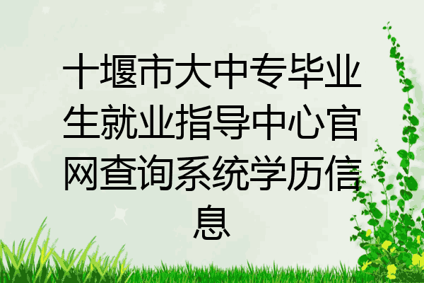 十堰市大中专毕业生就业指导中心官网查询系统学历信息