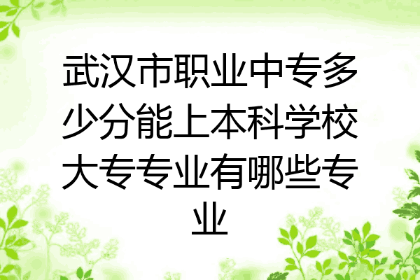 武汉市职业中专多少分能上本科学校大专专业有哪些专业