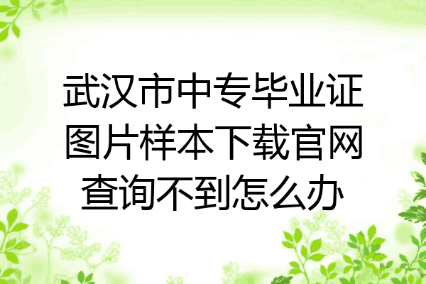 武汉市中专毕业证图片样本下载官网查询不到怎么办