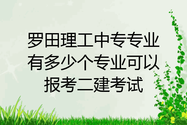罗田理工中专专业有多少个专业可以报考二建考试
