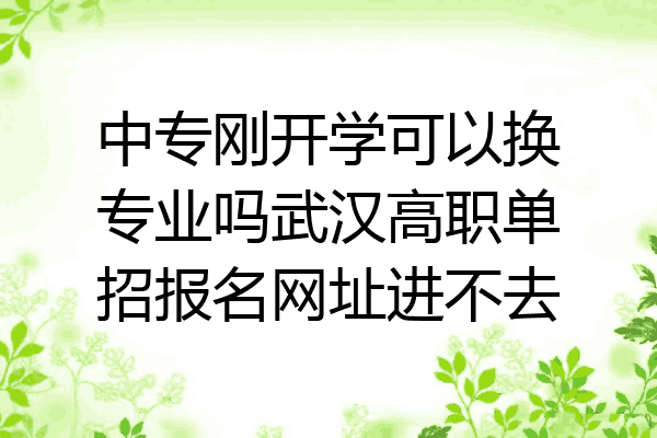 中专刚开学可以换专业吗武汉高职单招报名网址进不去