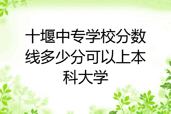 十堰中专学校分数线多少分可以上本科大学