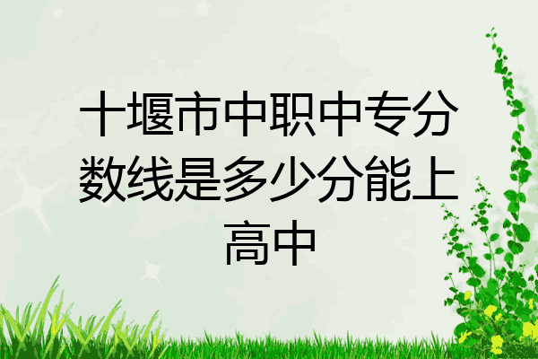 十堰市中职中专分数线是多少分能上高中