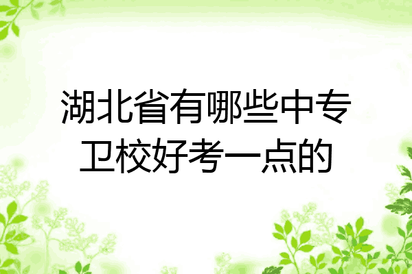湖北省有哪些中专卫校好考一点的