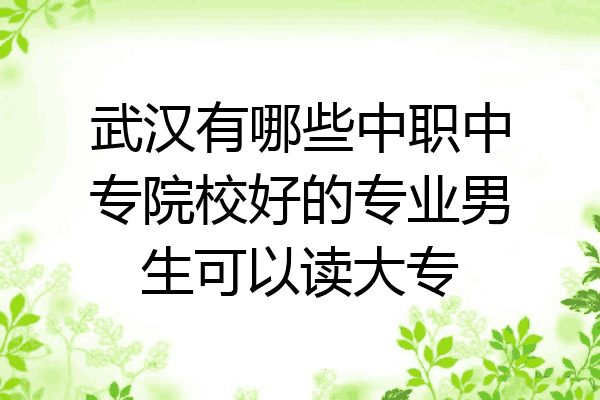 武汉有哪些中职中专院校好的专业男生可以读大专