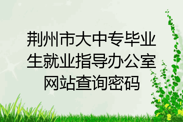 荆州市大中专毕业生就业指导办公室网站查询密码