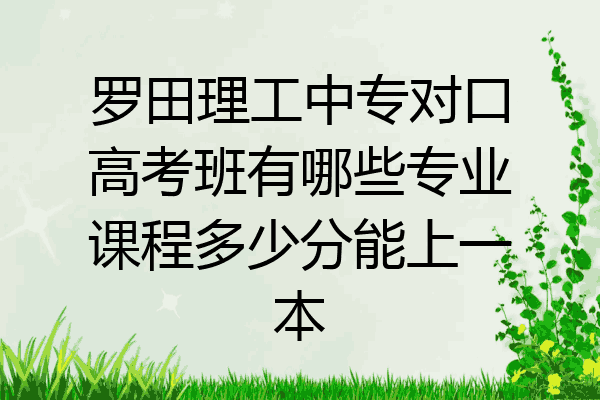罗田理工中专对口高考班有哪些专业课程多少分能上一本
