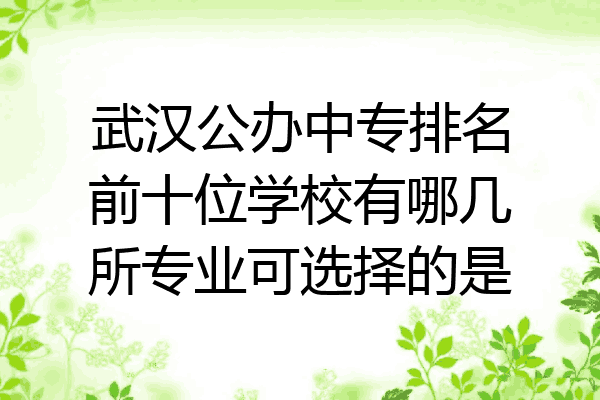 武汉公办中专排名前十位学校有哪几所专业可选择的是