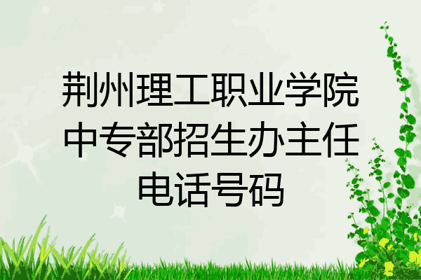 荆州理工职业学院中专部招生办主任电话号码