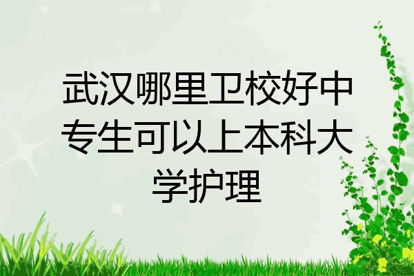 武汉哪里卫校好中专生可以上本科大学护理