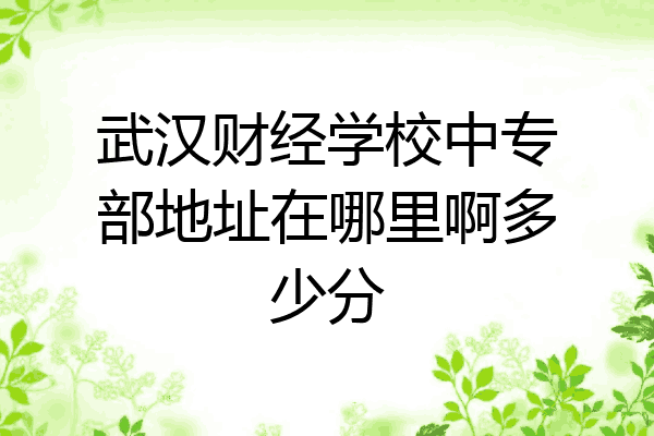 武汉财经学校中专部地址在哪里啊多少分