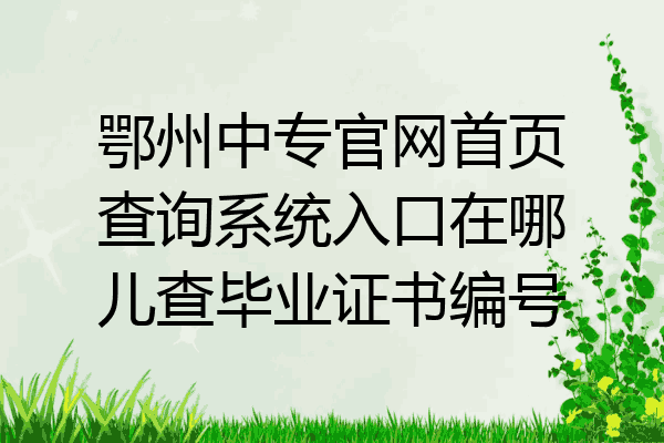 鄂州中专官网首页查询系统入口在哪儿查毕业证书编号