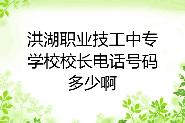 洪湖职业技工中专学校校长电话号码多少啊