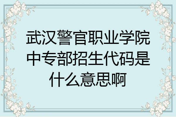 武汉警官职业学院中专部招生代码是什么意思啊
