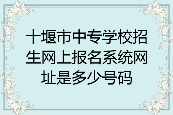 十堰市中专学校招生网上报名系统网址是多少号码