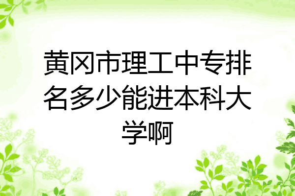 黄冈市理工中专排名多少能进本科大学啊