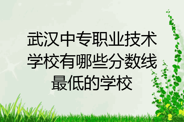 武汉中专职业技术学校有哪些分数线最低的学校