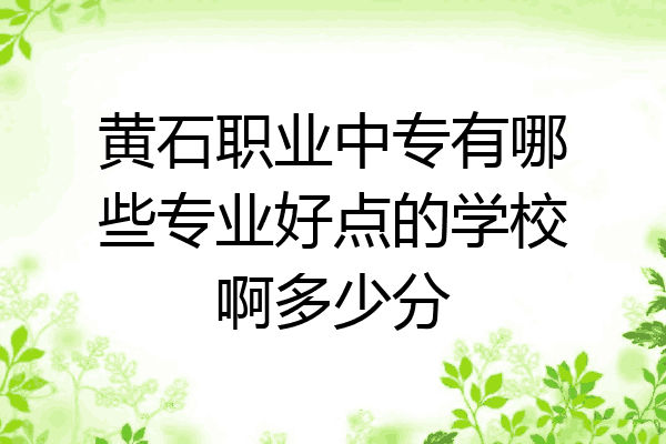 黄石职业中专有哪些专业好点的学校啊多少分