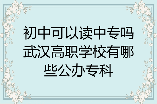 初中可以读中专吗武汉高职学校有哪些公办专科