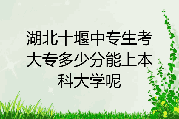 湖北十堰中专生考大专多少分能上本科大学呢