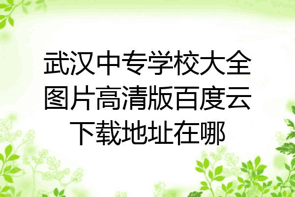 武汉中专学校大全图片高清版百度云下载地址在哪