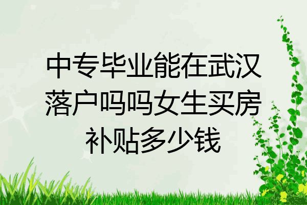中专毕业能在武汉落户吗吗女生买房补贴多少钱