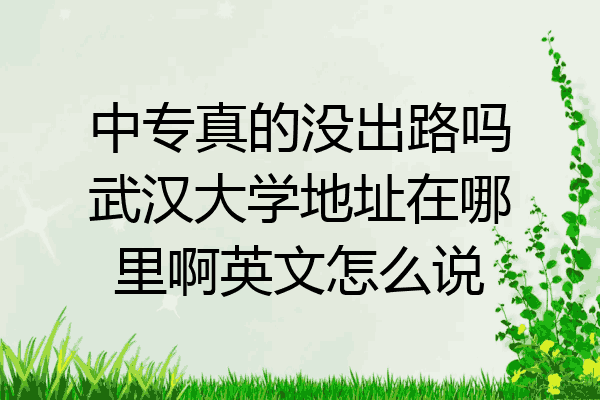 中专真的没出路吗武汉大学地址在哪里啊英文怎么说