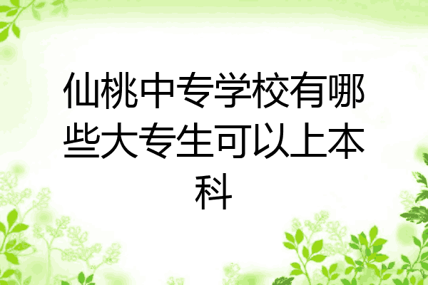 仙桃中专学校有哪些大专生可以上本科