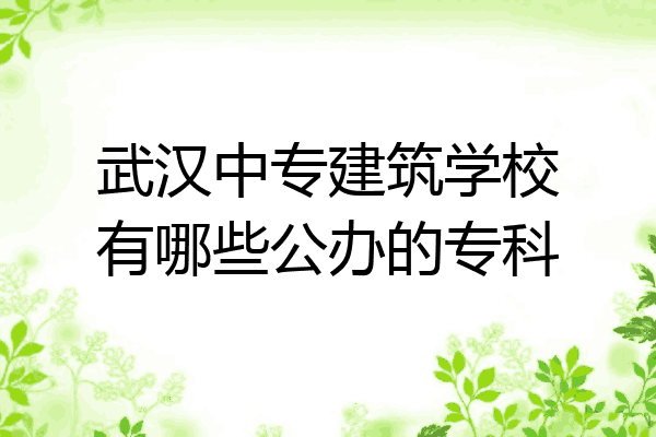 武汉中专建筑学校有哪些公办的专科