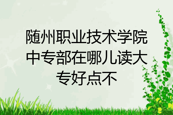 随州职业技术学院中专部在哪儿读大专好点不