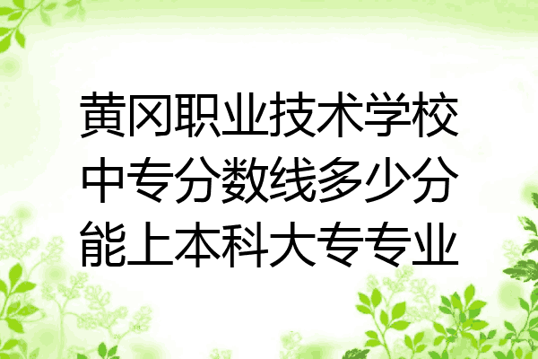 黄冈职业技术学校中专分数线多少分能上本科大专专业
