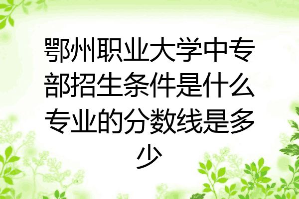 鄂州职业大学中专部招生条件是什么专业的分数线是多少