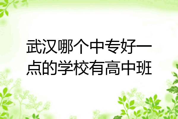武汉哪个中专好一点的学校有高中班