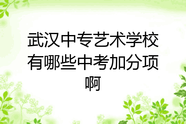 武汉中专艺术学校有哪些中考加分项啊