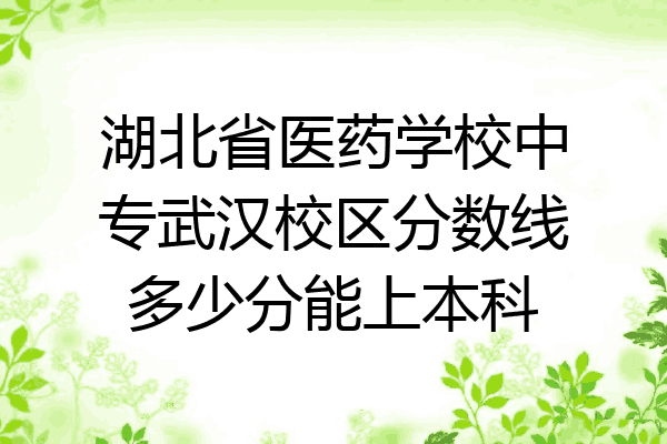湖北省医药学校中专武汉校区分数线多少分能上本科