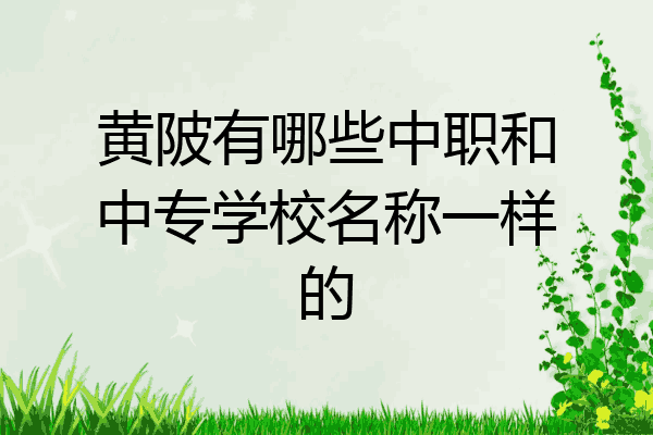 黄陂有哪些中职和中专学校名称一样的