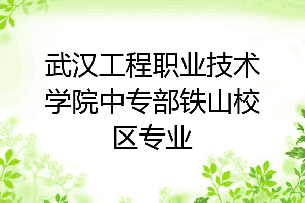 武汉工程职业技术学院中专部铁山校区专业