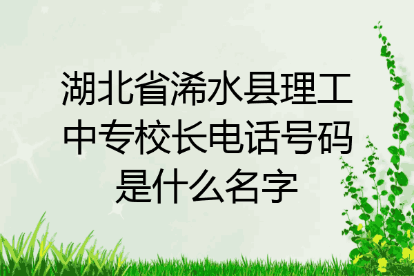 湖北省浠水县理工中专校长电话号码是什么名字