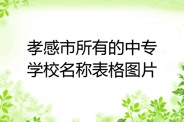 孝感市所有的中专学校名称表格图片