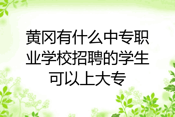 黄冈有什么中专职业学校招聘的学生可以上大专