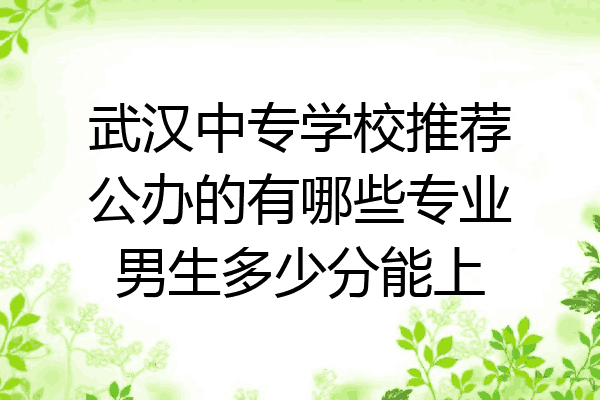 武汉中专学校推荐公办的有哪些专业男生多少分能上