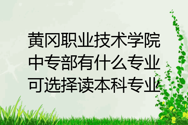 黄冈职业技术学院中专部有什么专业可选择读本科专业
