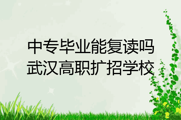 中专毕业能复读吗武汉高职扩招学校