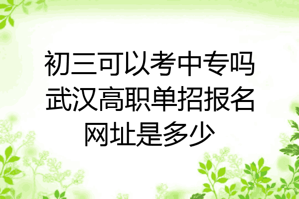 初三可以考中专吗武汉高职单招报名网址是多少