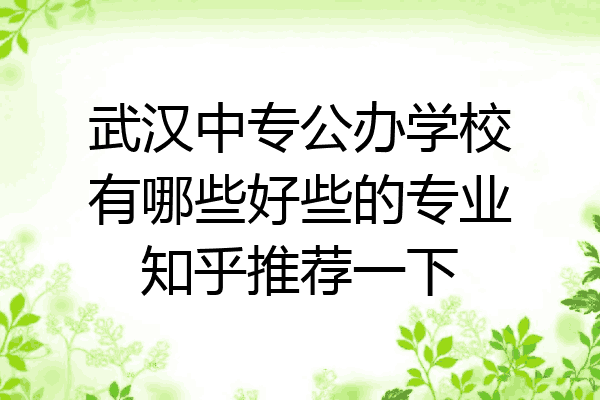 武汉中专公办学校有哪些好些的专业知乎推荐一下