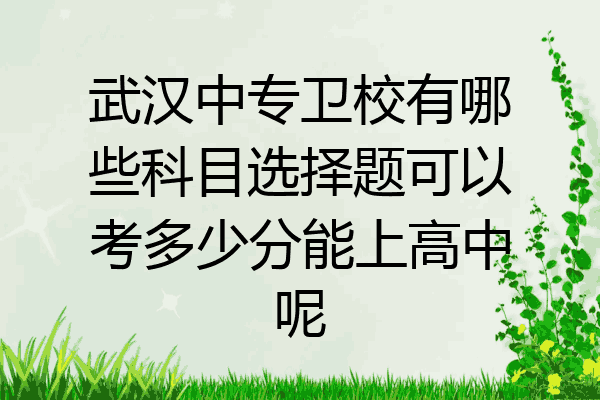 武汉中专卫校有哪些科目选择题可以考多少分能上高中呢