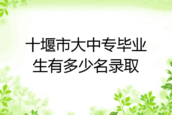 十堰市大中专毕业生有多少名录取